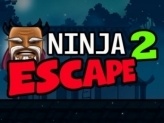 Ninja Escape 2