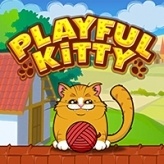 Playful Kitty Game